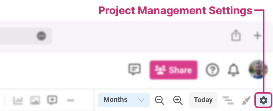 project-management-settings-gantt.png
